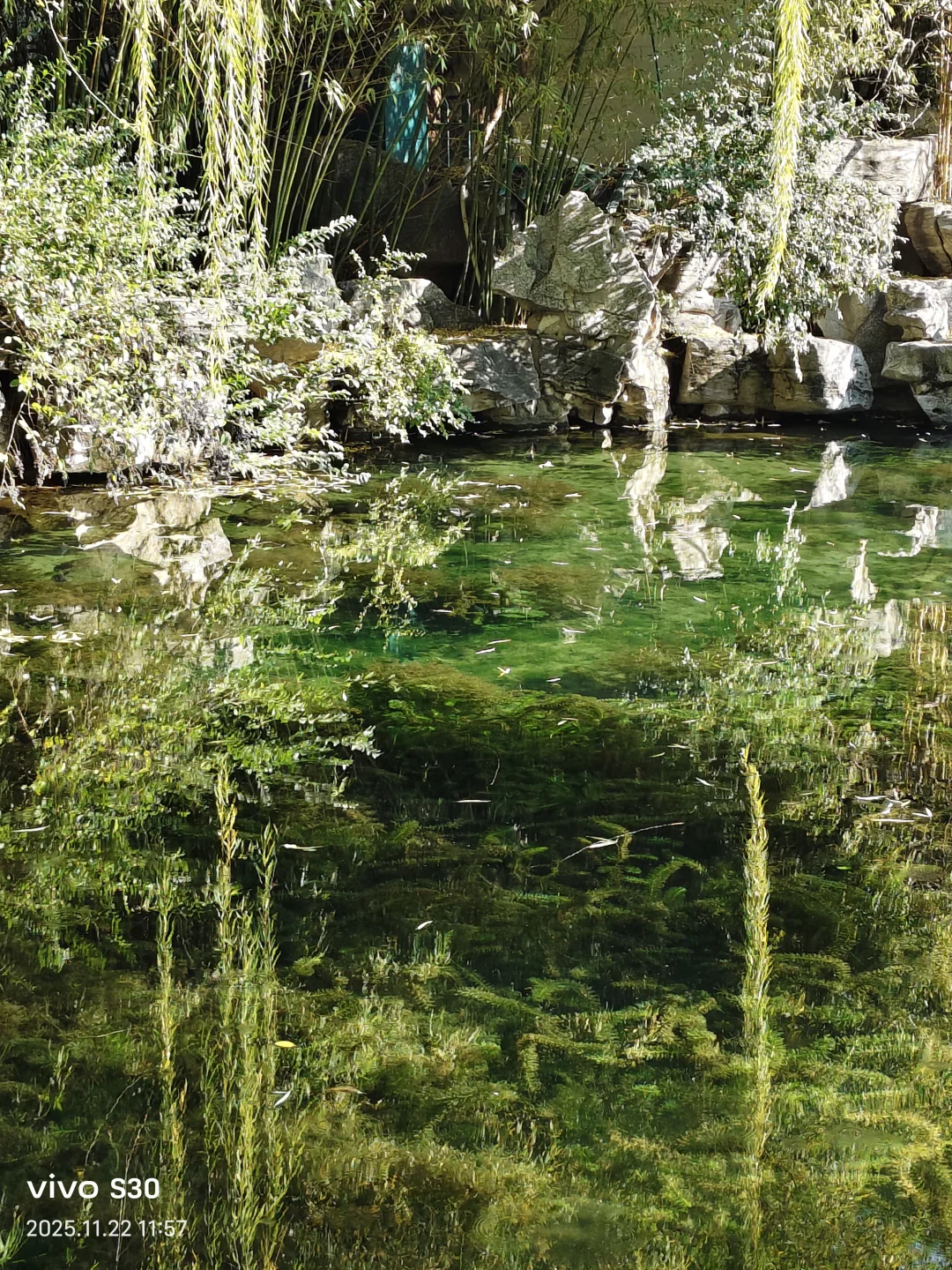 “济南的冬天是响晴的”
