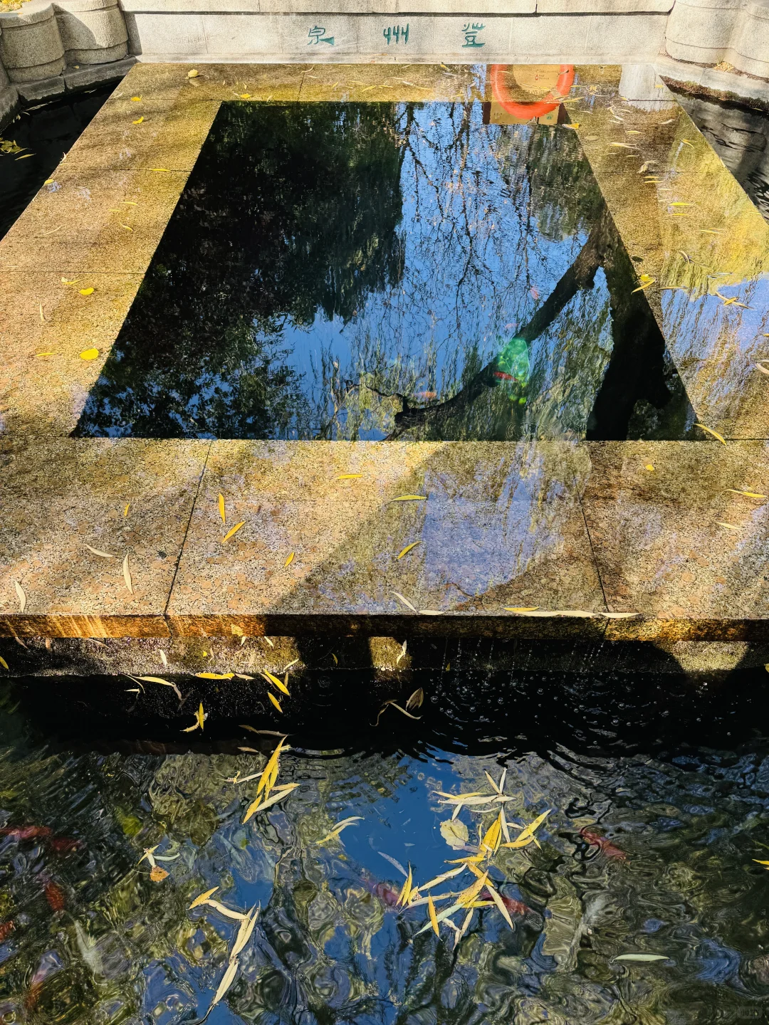 旅行｜冬天请一定来一趟济南听泉