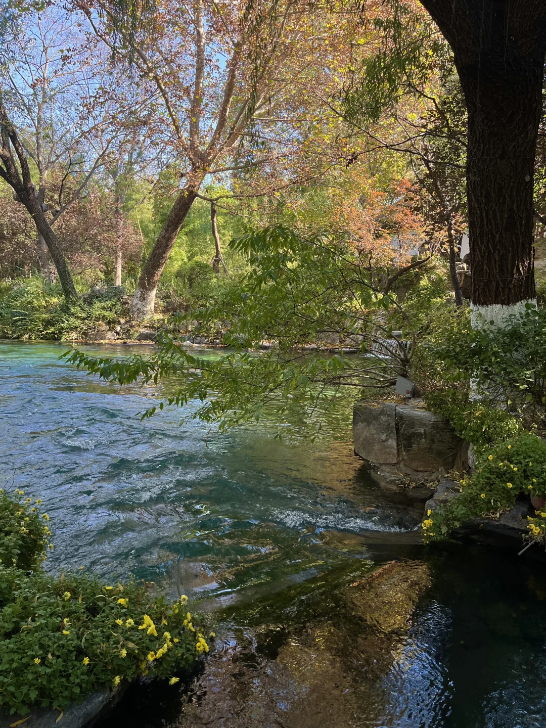 老舍严选的济南美成啥样了
