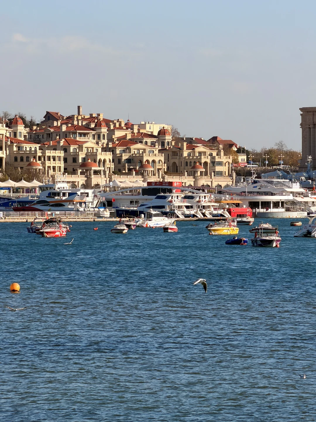 12.2Live实况，淡季的青岛是人间理想…🐚🌊