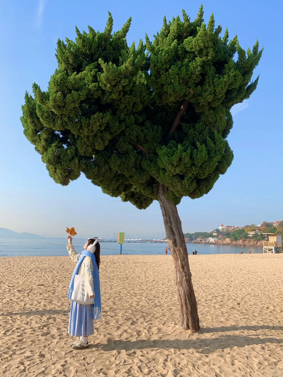 Live实况！淡季的青岛真的美疯了!😭(附机位