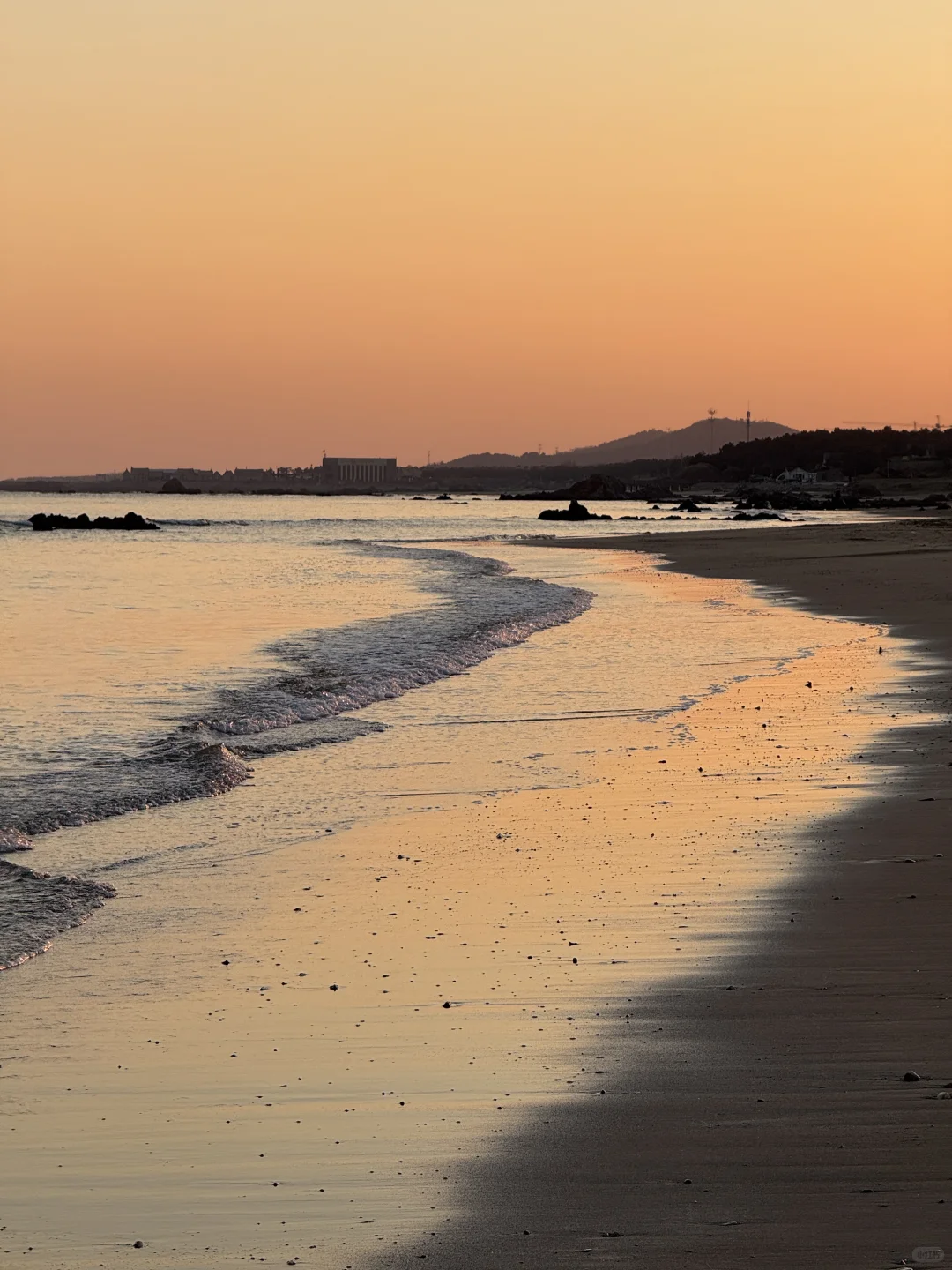 Live 实况，现在的青岛真的劝退不了一点…🌊