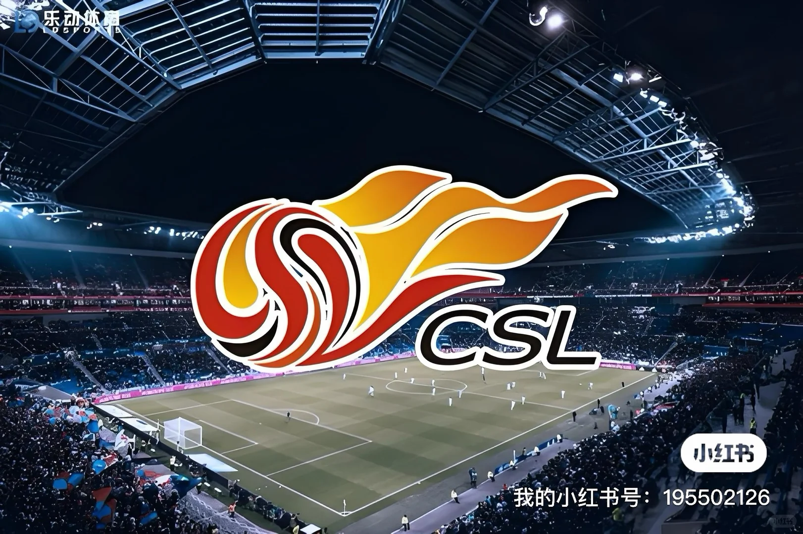 1/29--12/6青岛海牛队最新信息汇总：