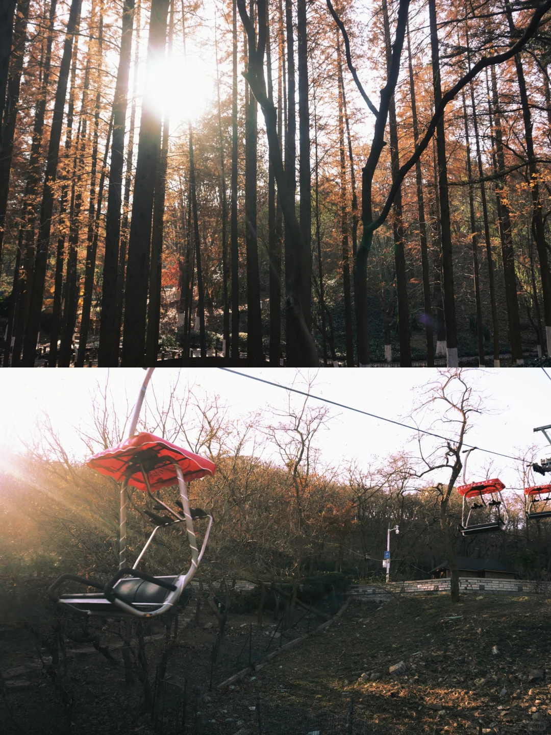 青岛旅游✍攻略/1000💰一人4天三晚