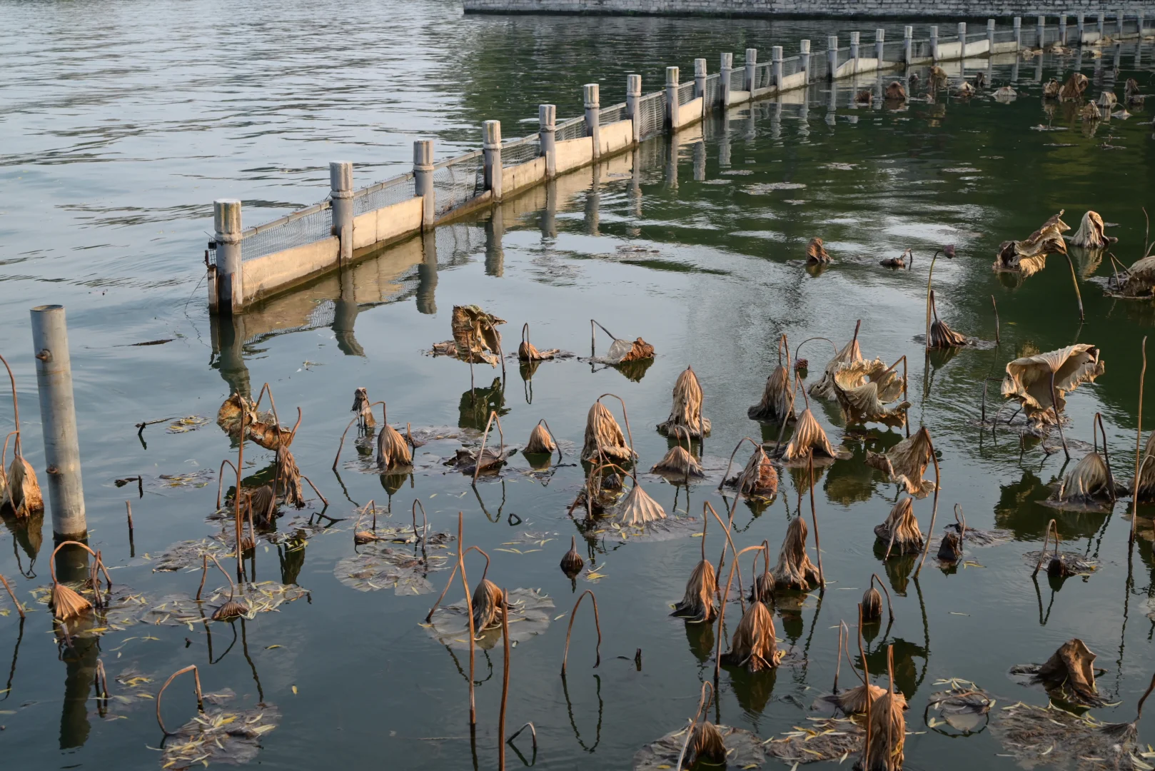 周末逃离北京之 济南（2）