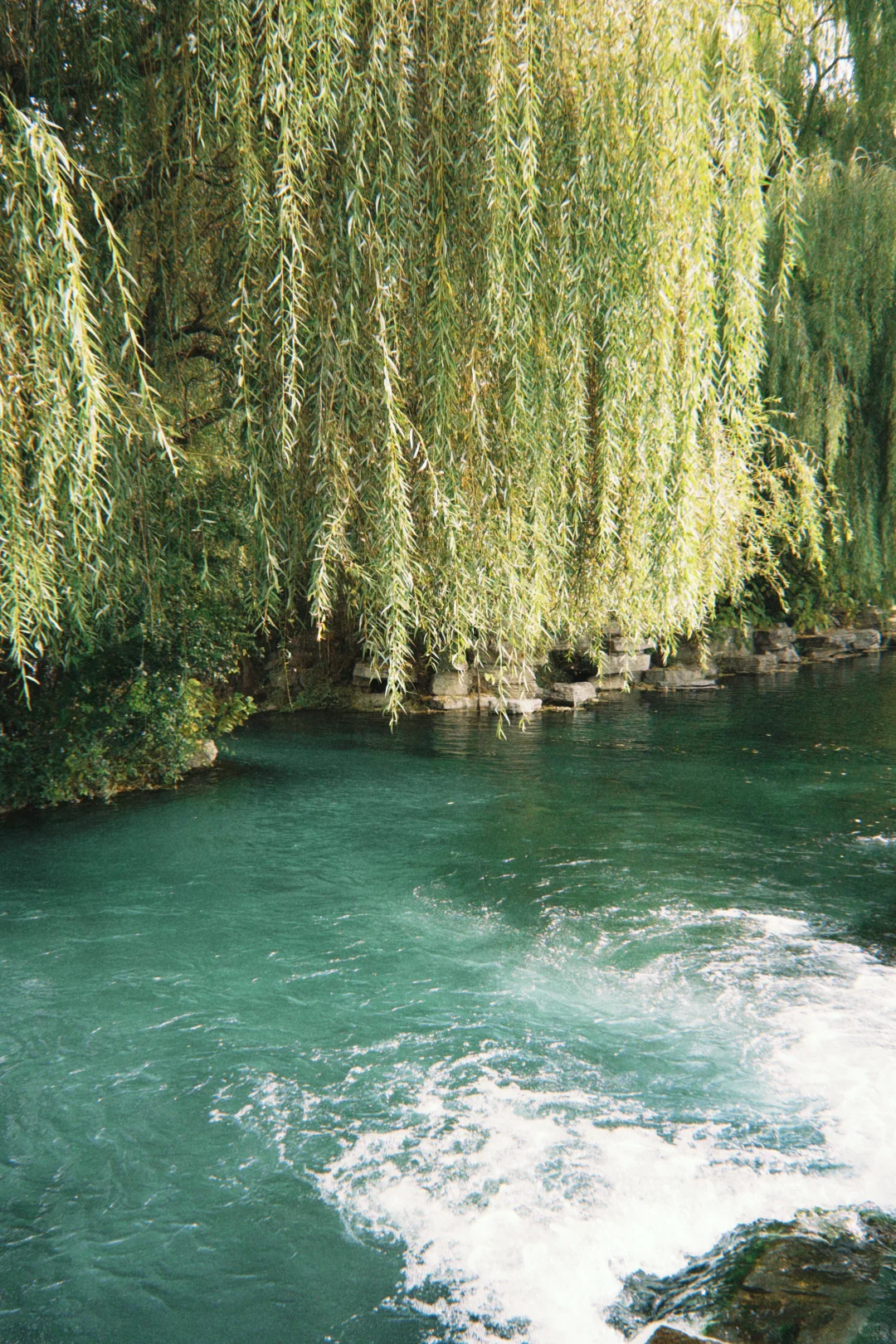 在济南的明水古城感受初冬