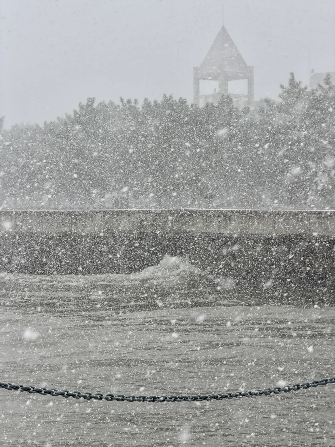 12.3 烟台 暴雪 海边❄️