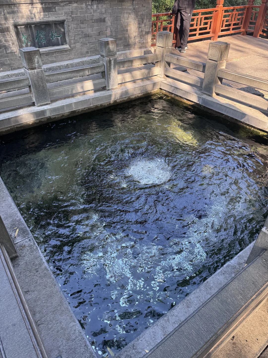 到底是济南还是江南