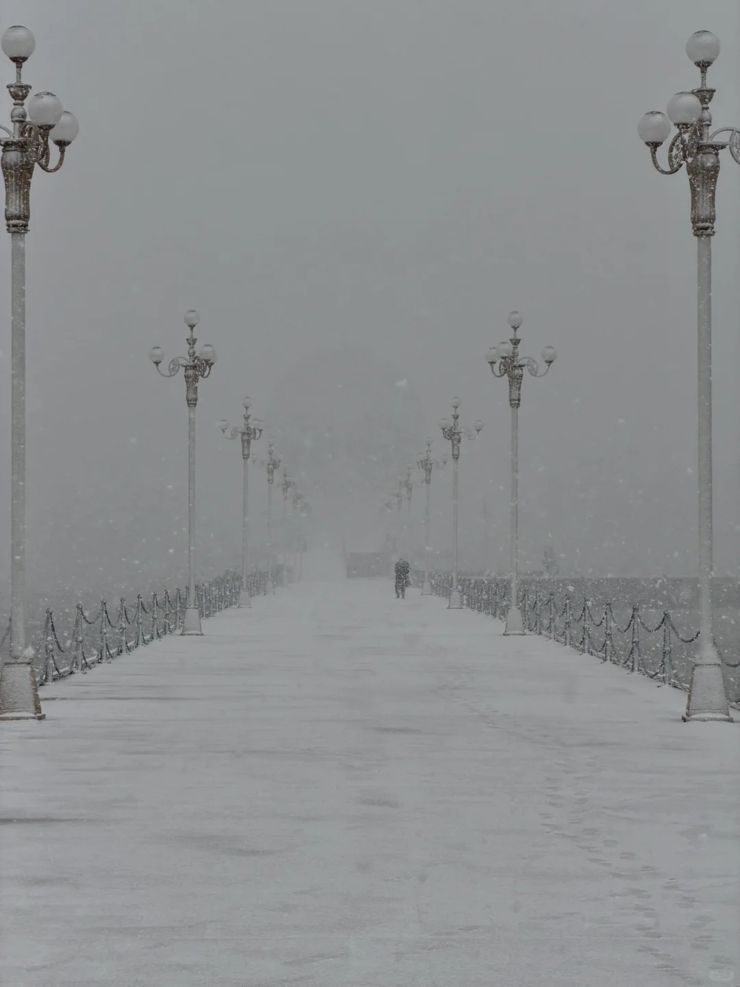 12.3 烟台 暴雪 海边❄️
