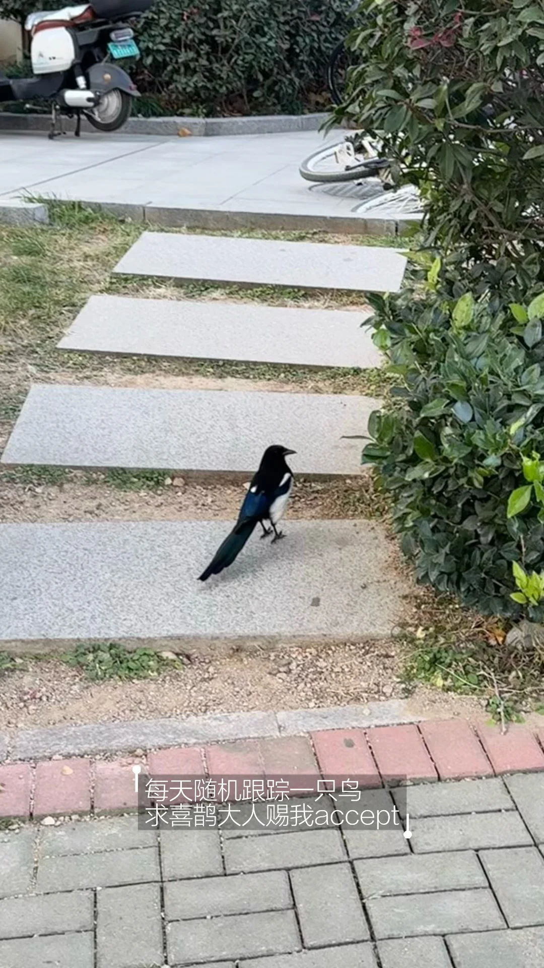 OUC读博plog｜青岛开启速冻模式