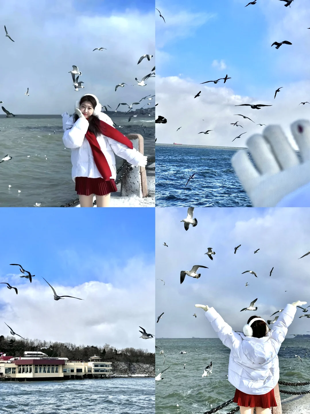 烟台｜淡季➕冬天的第一场雪❄️