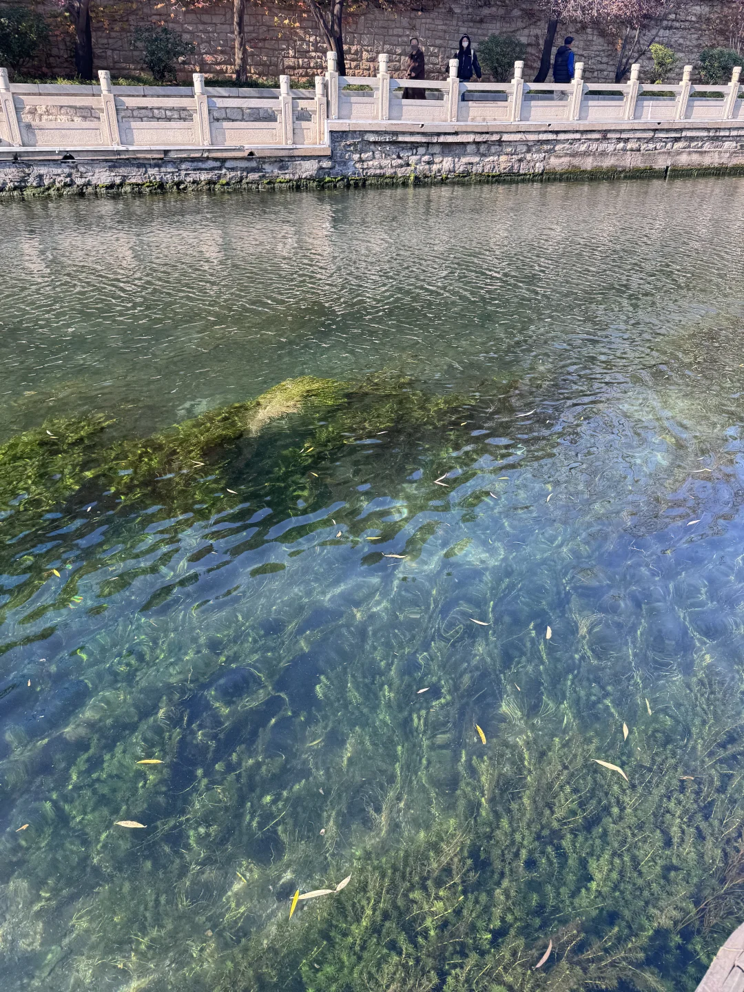 到底是济南还是江南