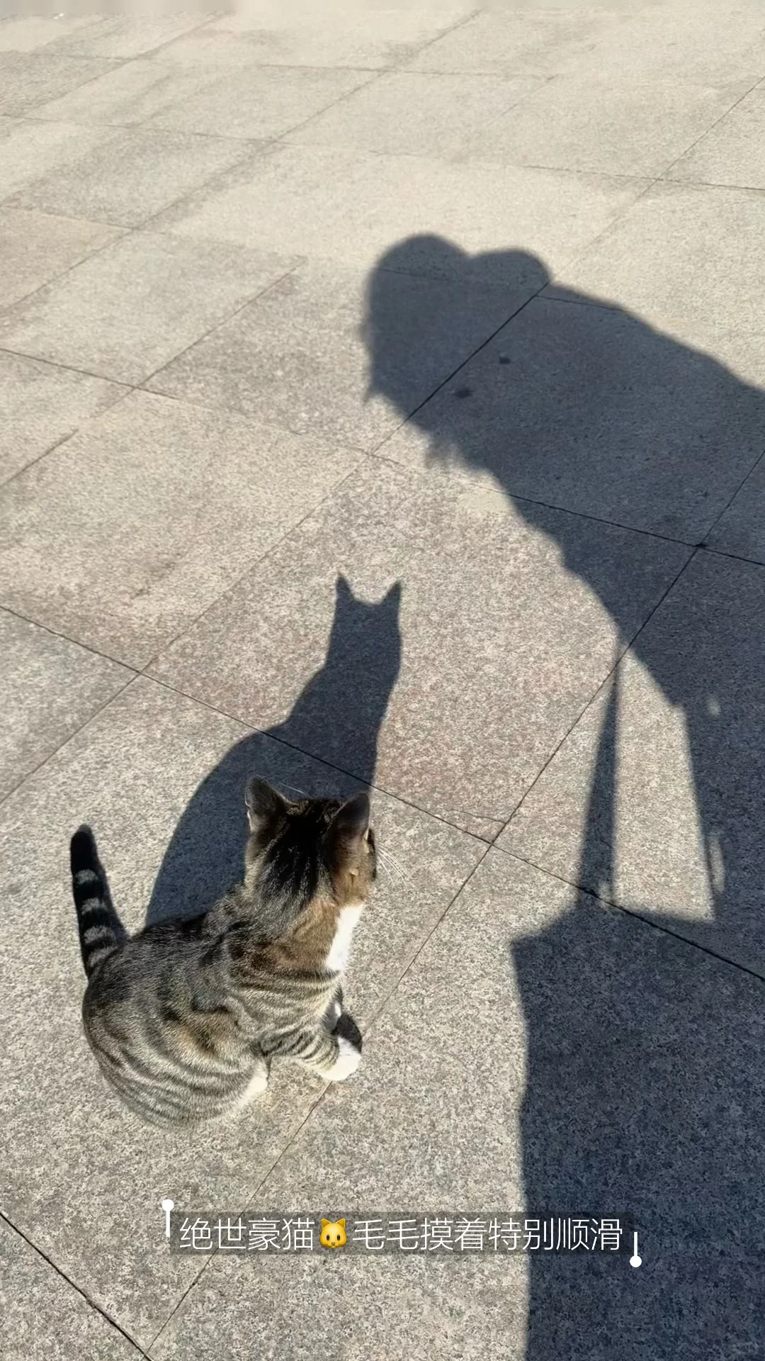 OUC读博plog｜青岛开启速冻模式