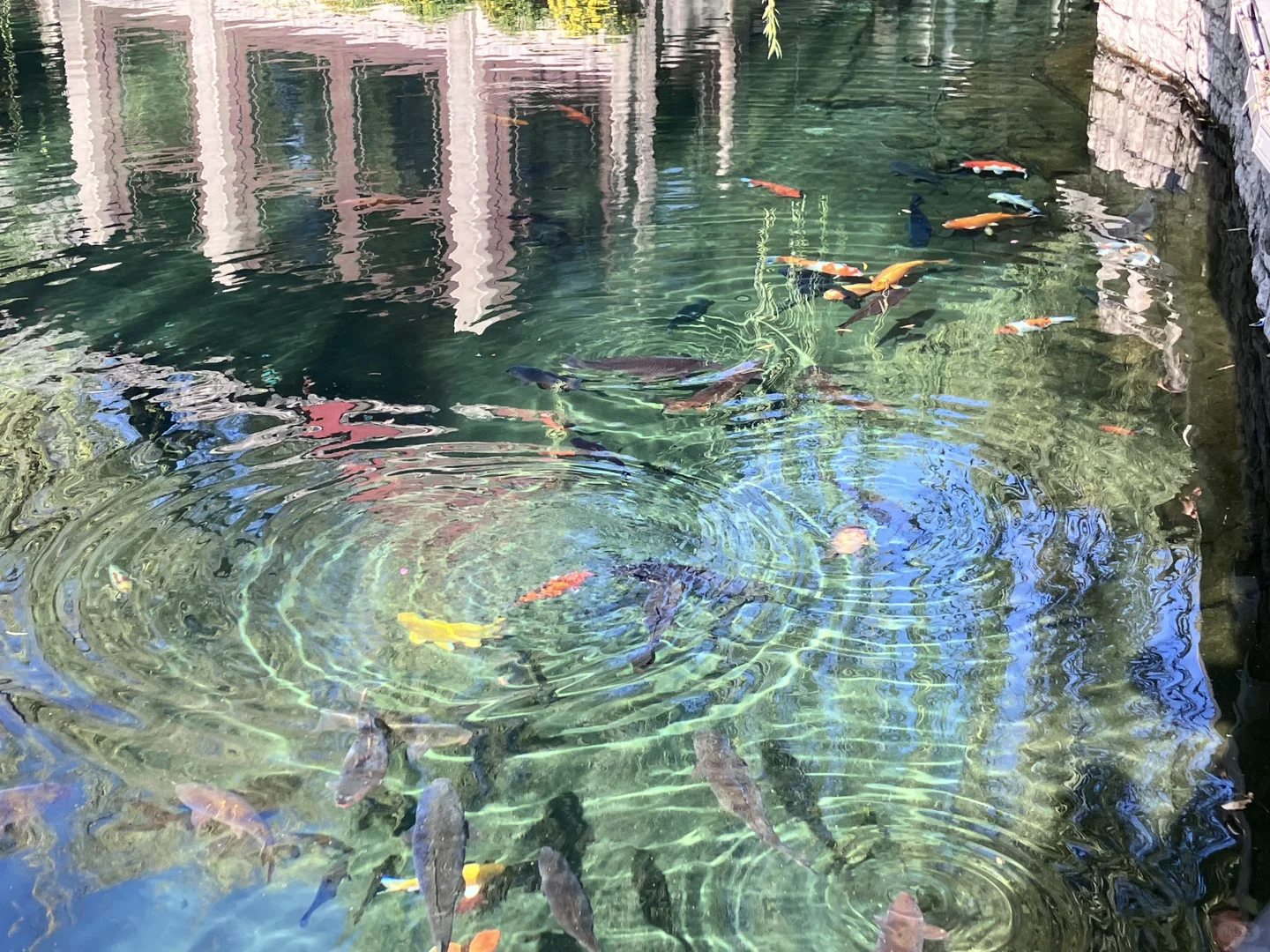 没人告诉我济南