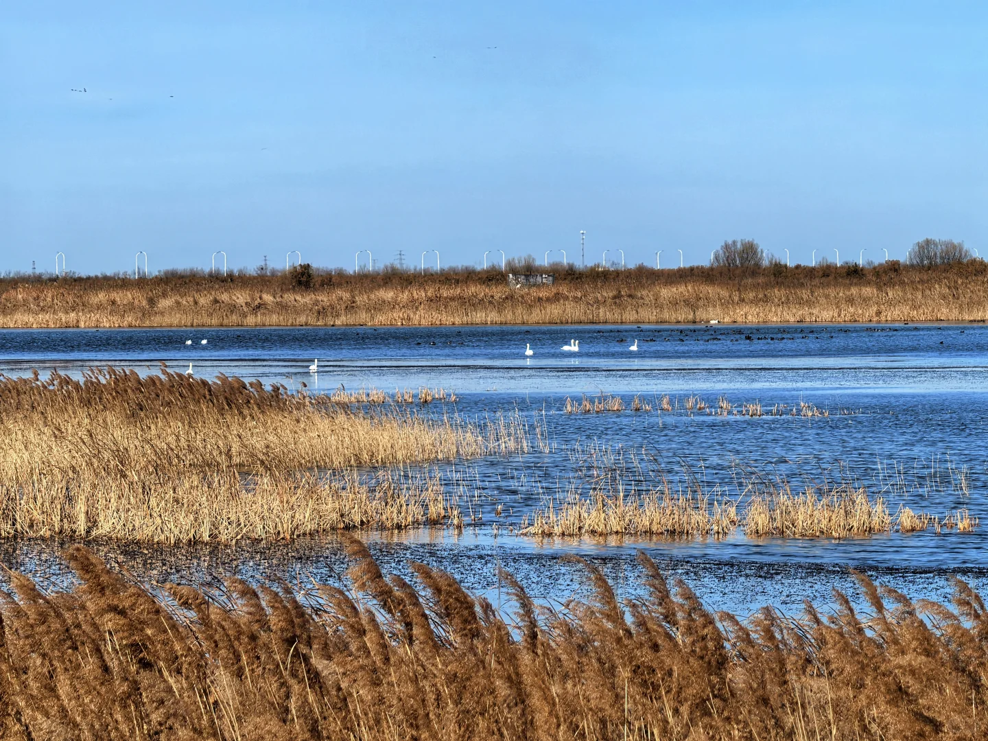 济南出发大美东营仿佛走进国家地理杂志封面
