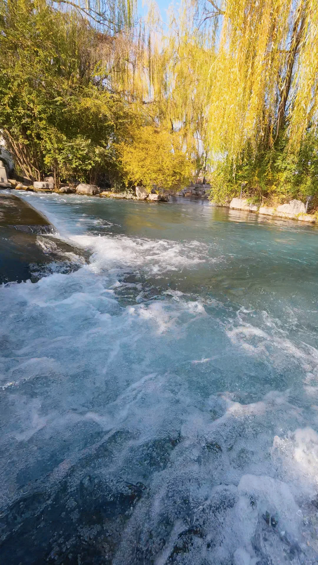 Live图才懂的震撼｜济南的泉水太澎湃了❗️