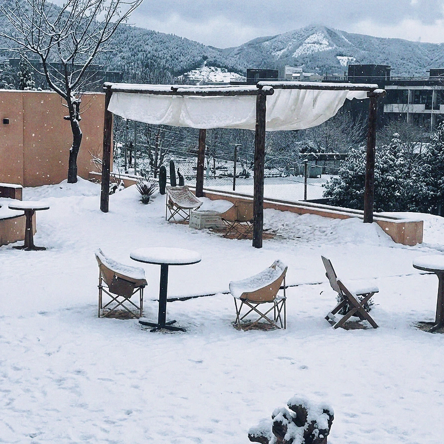 全网都在问：济南初雪去哪看？答案我放这了！