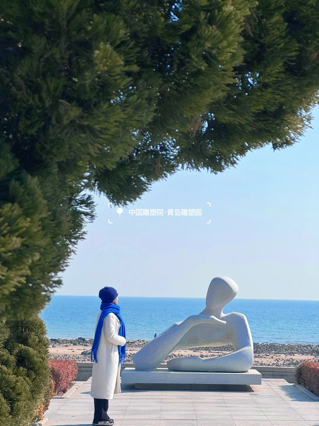 听劝没去大连，12月的青岛美疯了❗️附机位