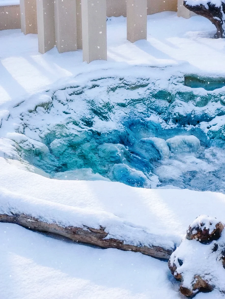 全网都在问：济南初雪去哪看？答案我放这了！