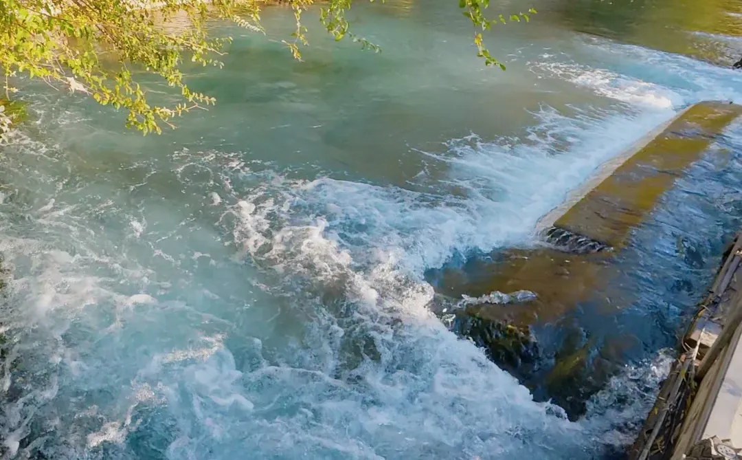 Live图才懂的震撼｜济南的泉水太澎湃了❗️