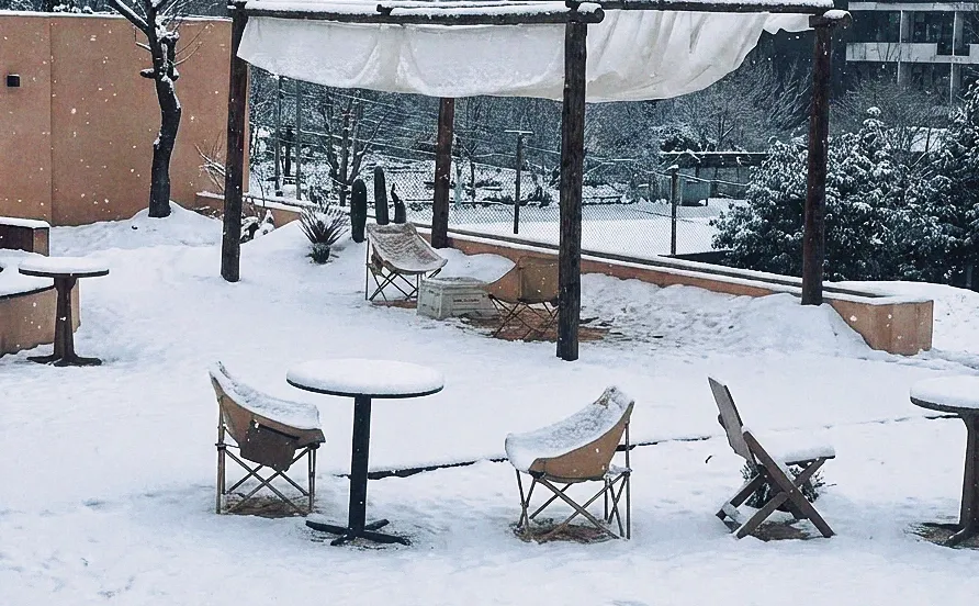 全网都在问：济南初雪去哪看？答案我放这了！