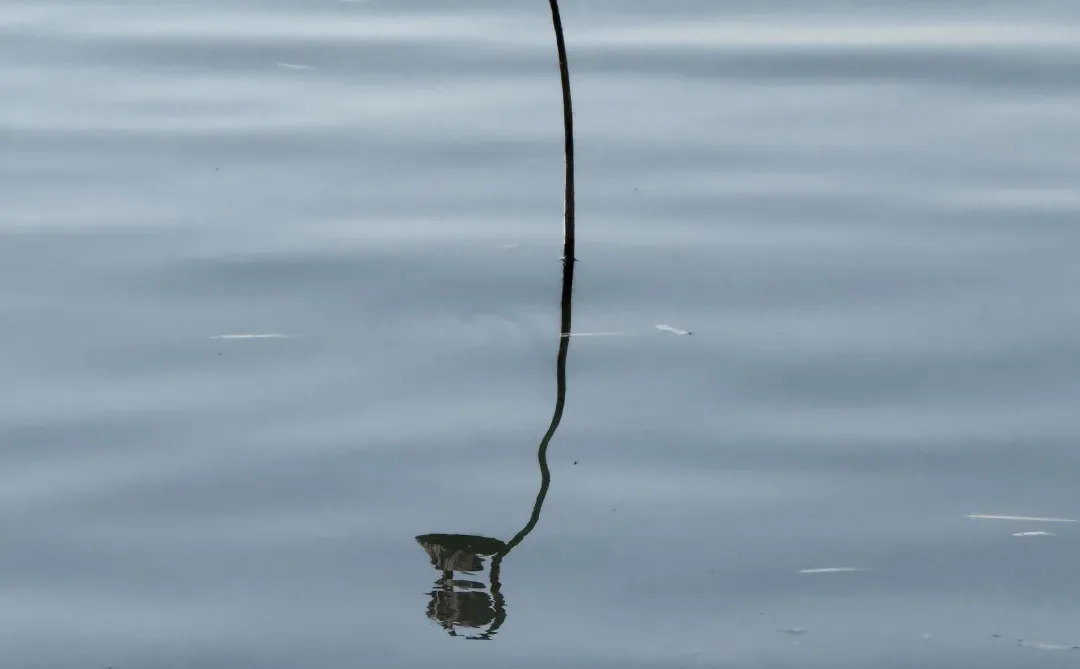 济南明天会下雪吗
