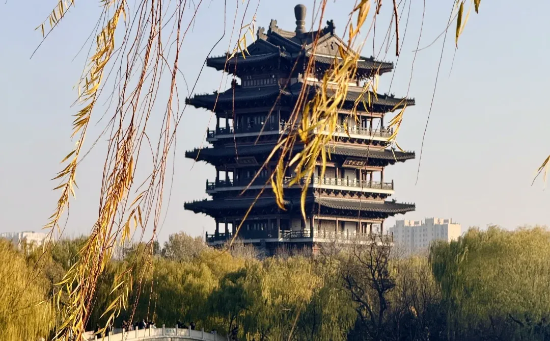 泉城翡翠般的冬天胜似春天