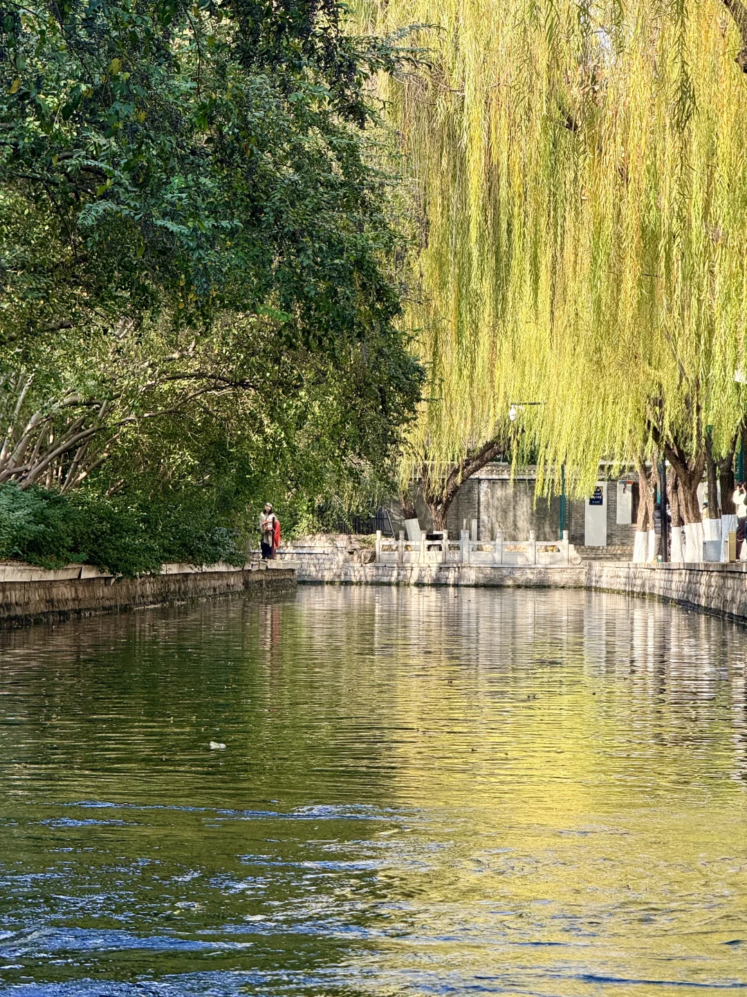 泉城翡翠般的冬天胜似春天