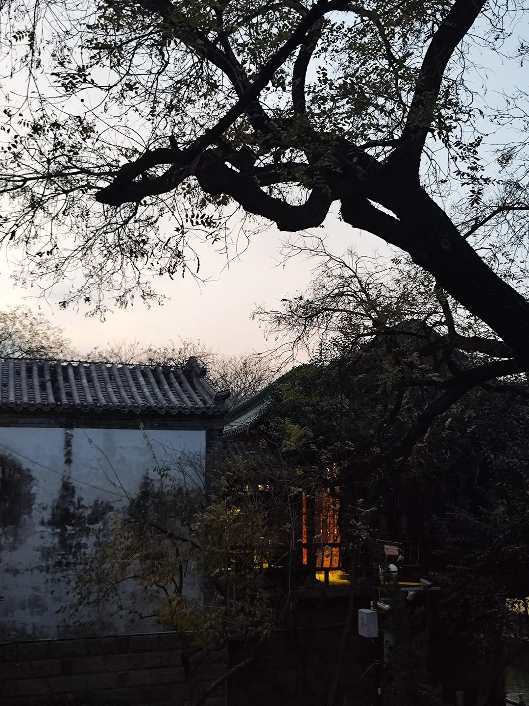 济南｜再见啦，这个逢人就喊老师的城市