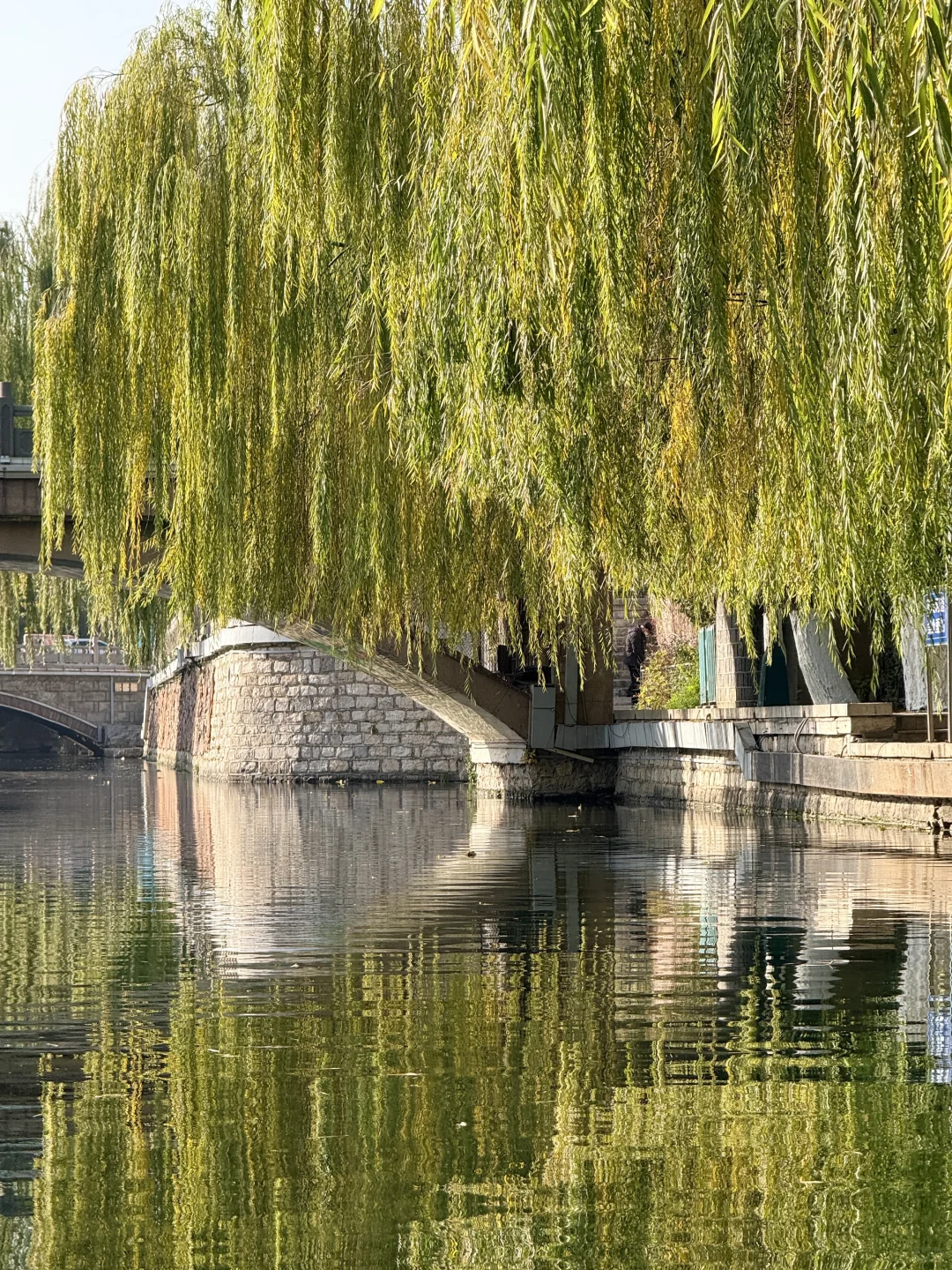 泉城翡翠般的冬天胜似春天