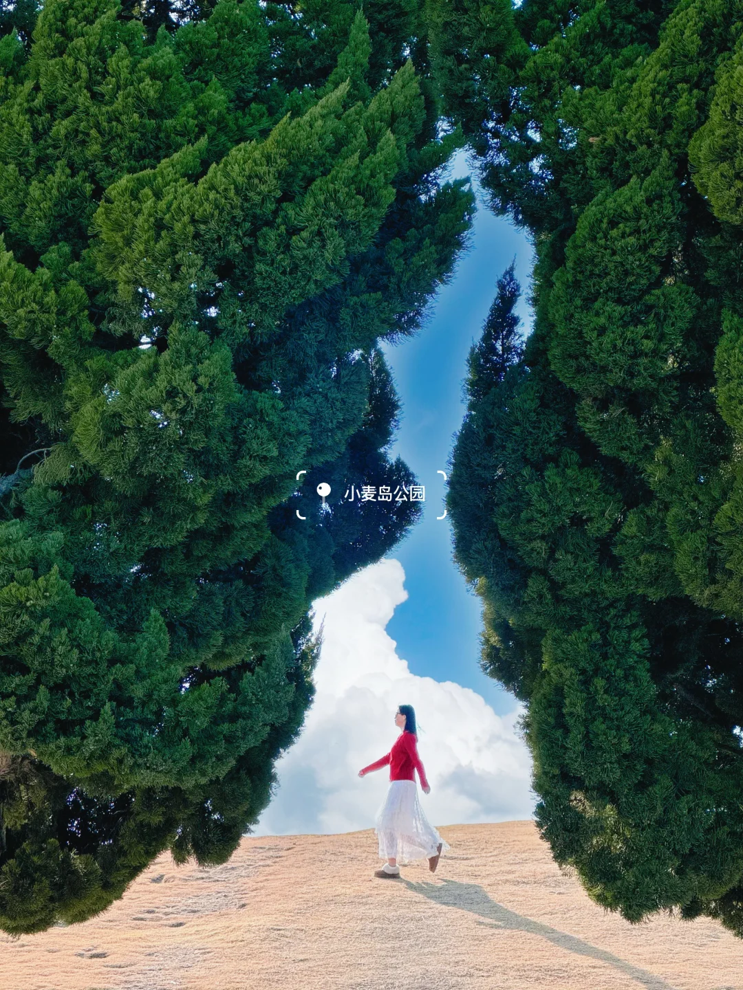 听劝没去大连，12月的青岛美疯了❗️附机位