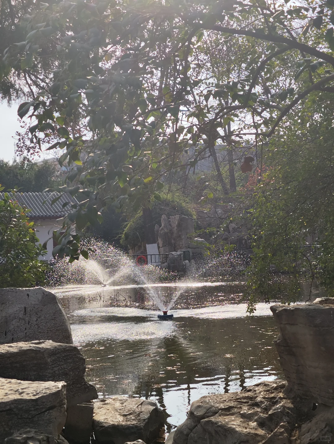济南｜再见啦，这个逢人就喊老师的城市
