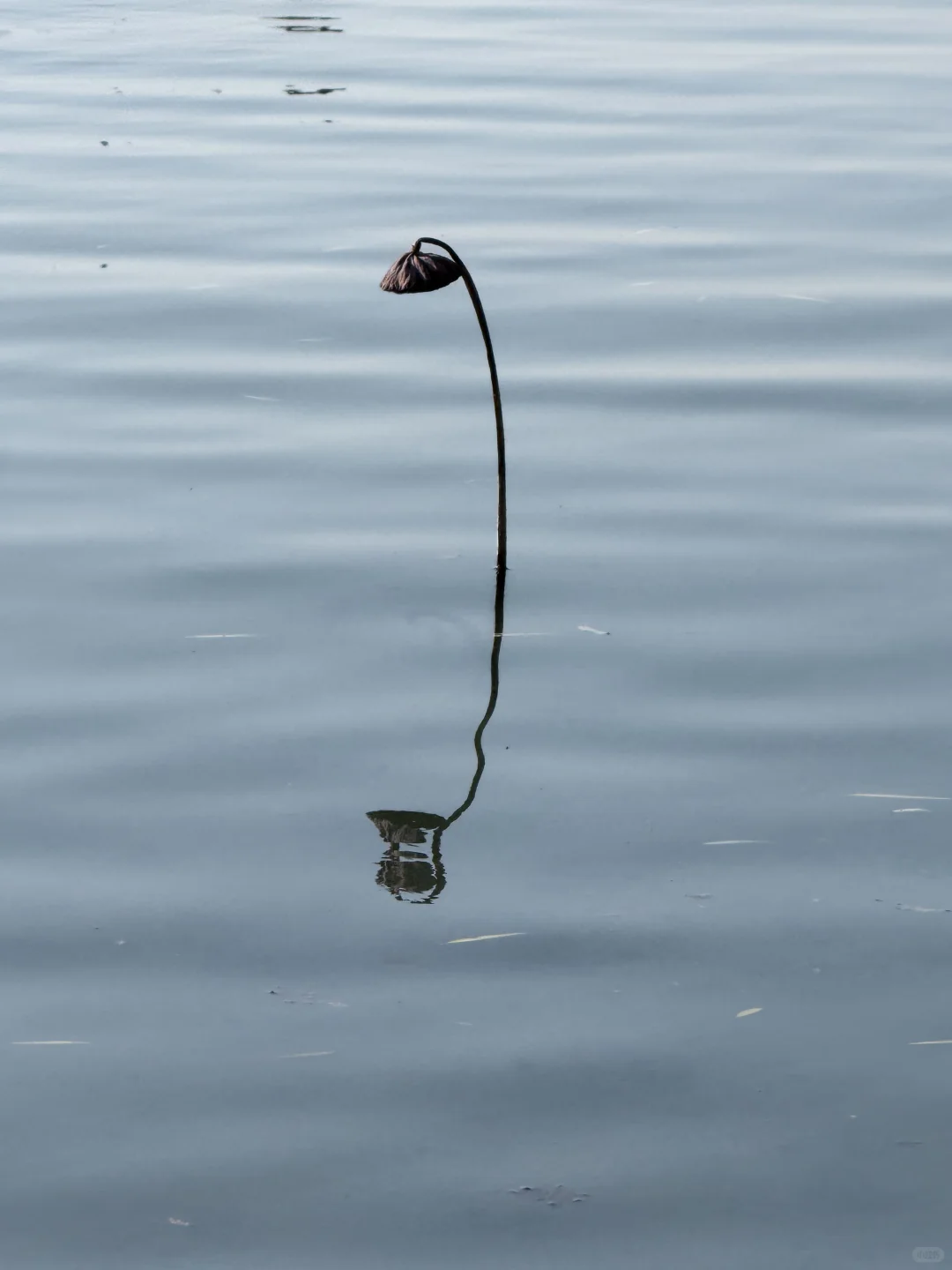 济南明天会下雪吗