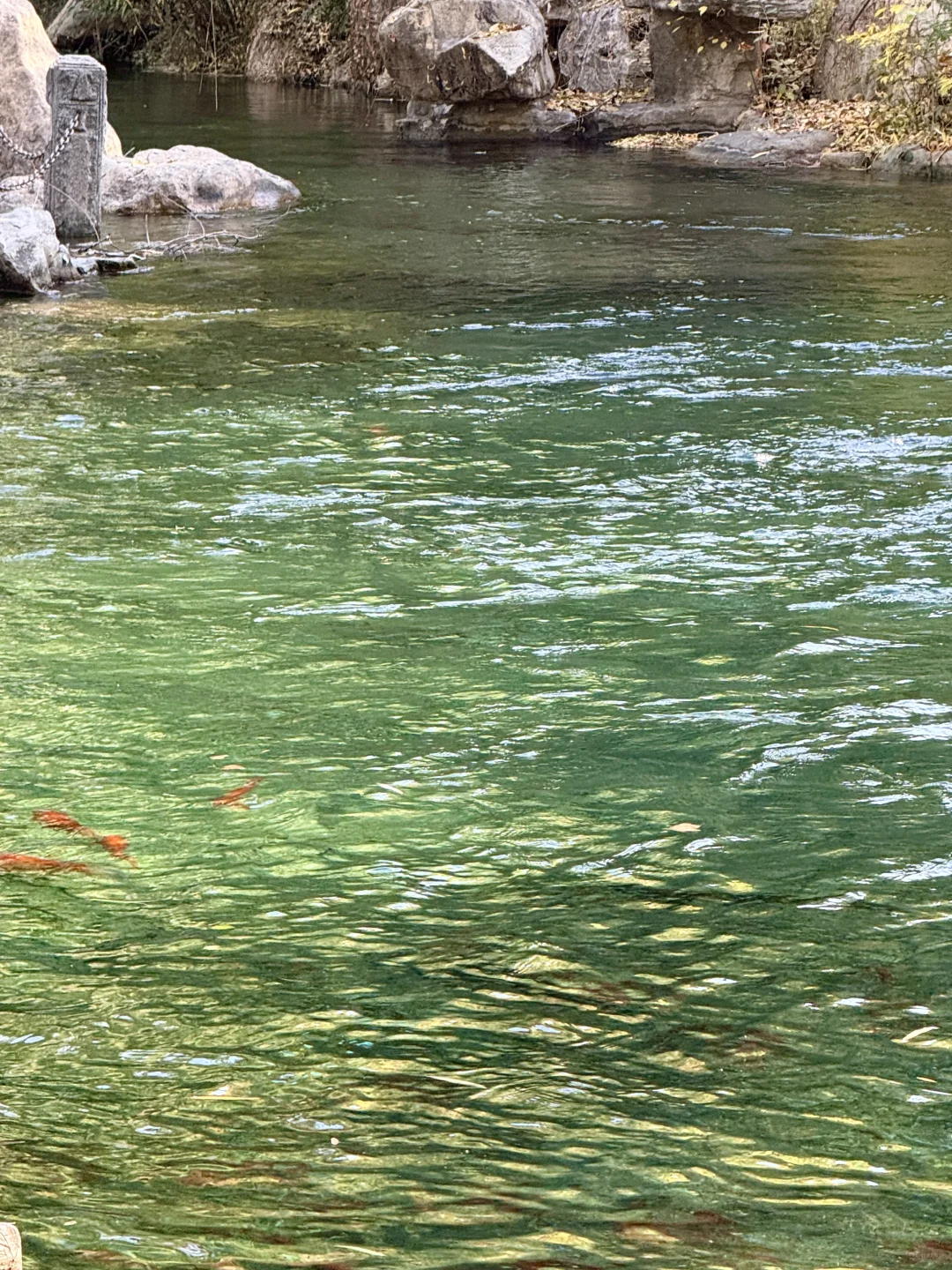 泉城翡翠般的冬天胜似春天