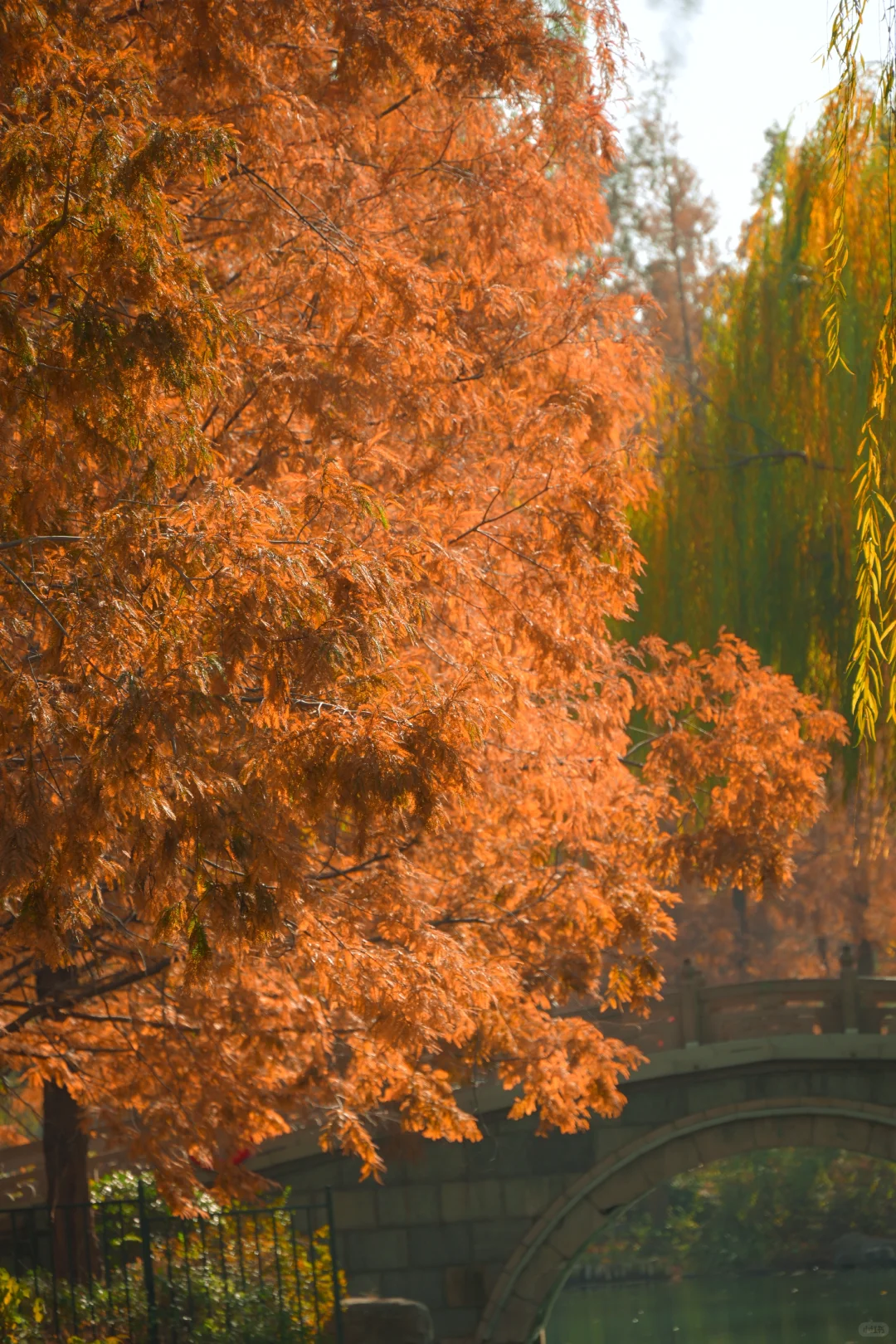 我是饱和度战士之济南大明湖四象限