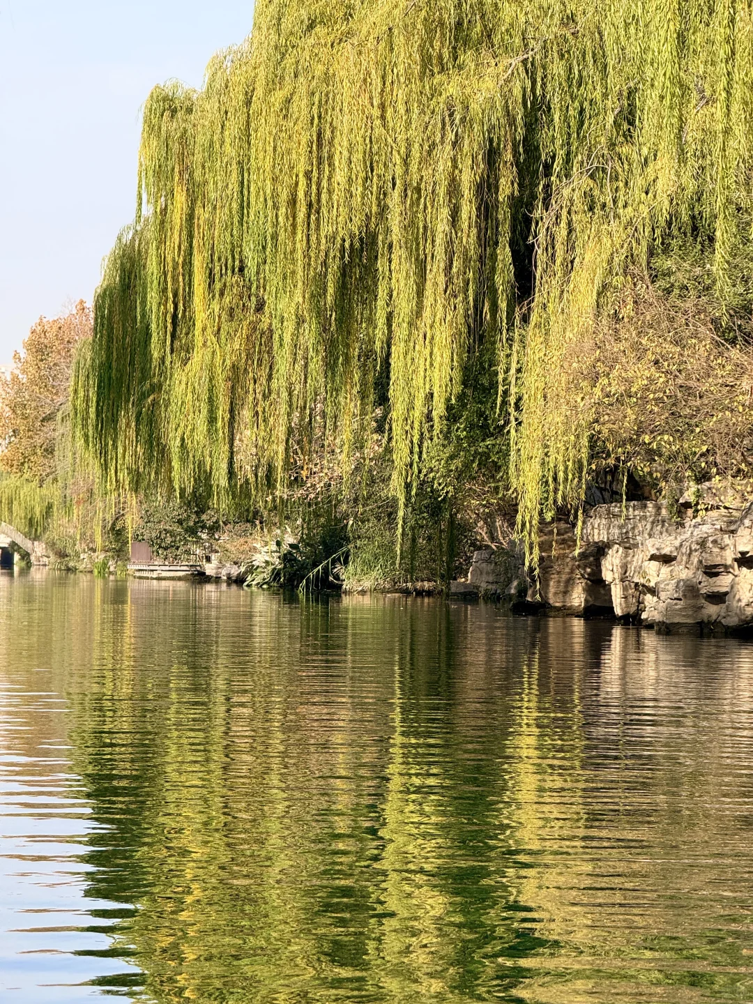 泉城翡翠般的冬天胜似春天