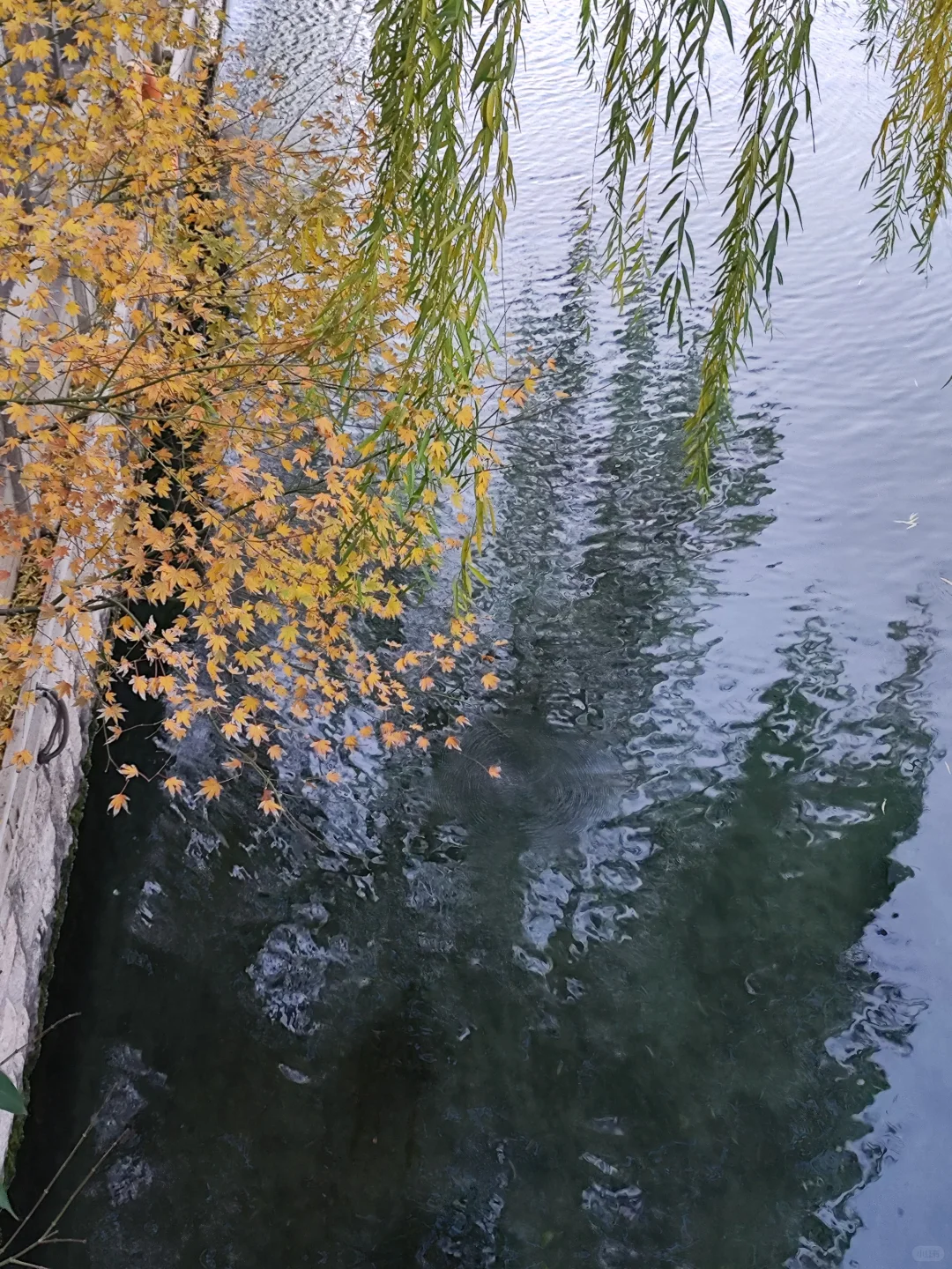 济南｜再见啦，这个逢人就喊老师的城市