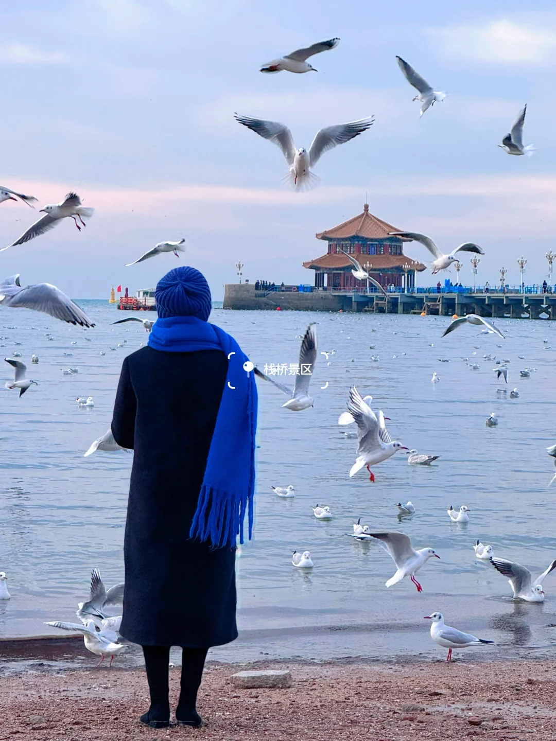 听劝没去大连，12月的青岛美疯了❗️附机位