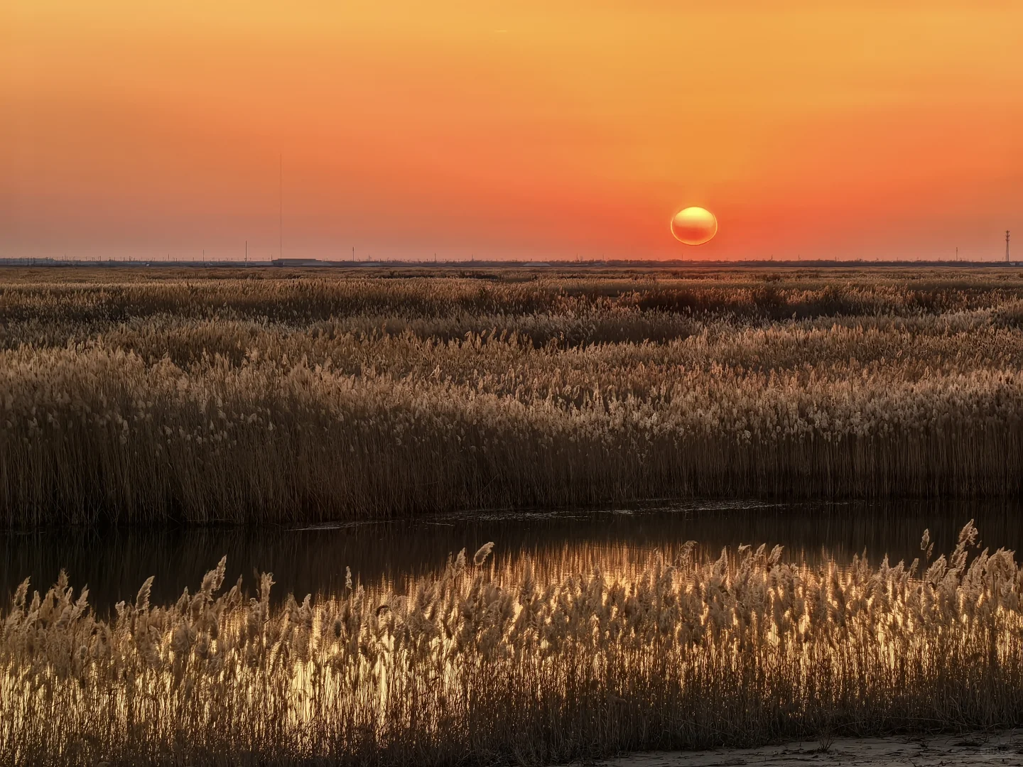 济南出发大美东营仿佛走进国家地理杂志封面