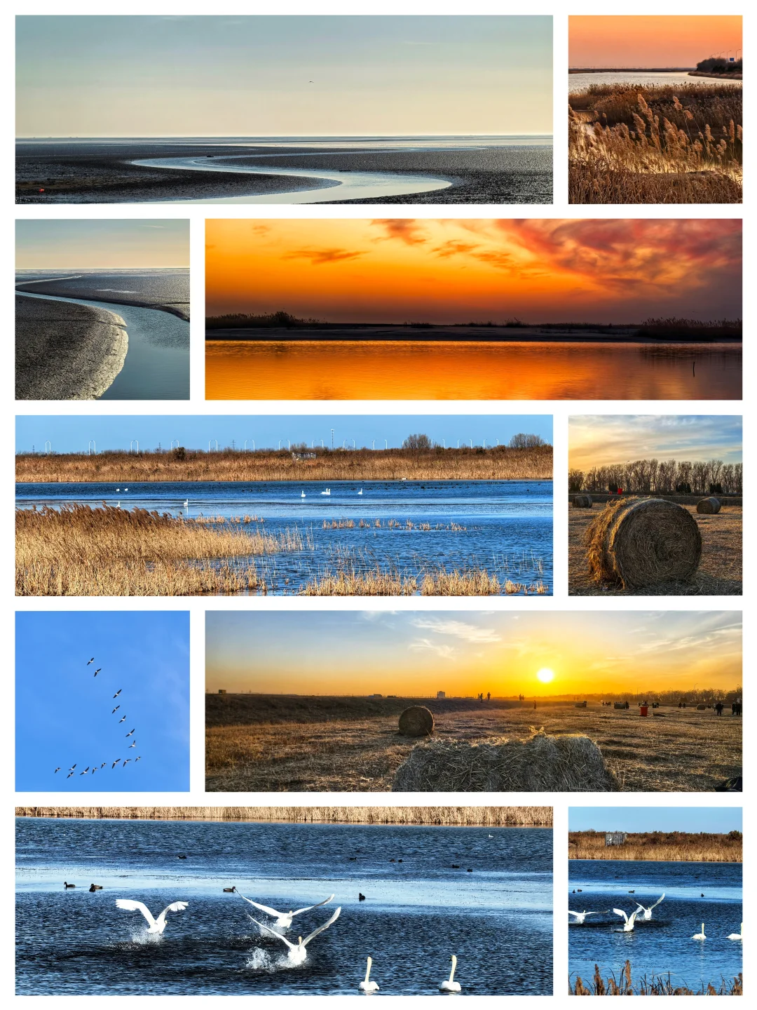 济南出发大美东营仿佛走进国家地理杂志封面