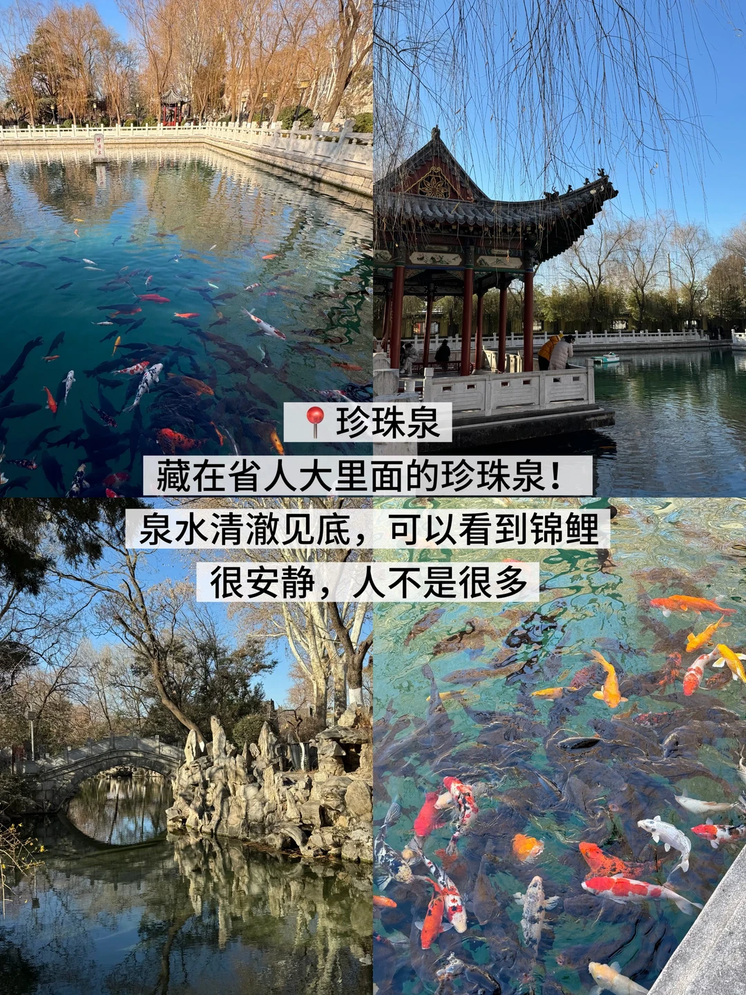 济南两天一夜旅游！！不走回头路…保姆级攻略
