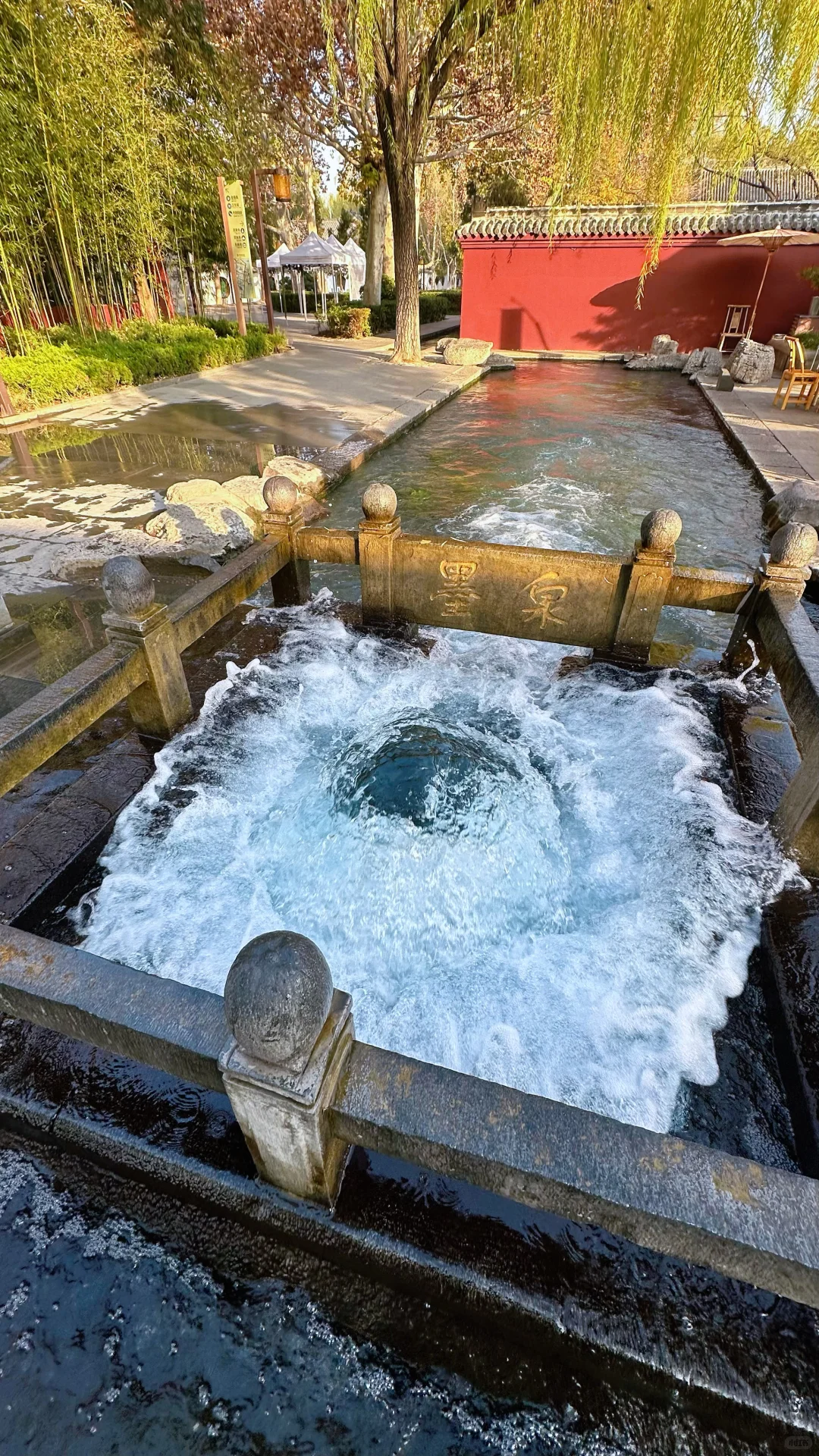 Live图，济南冬日泉水已开启“沸腾”模式❗️