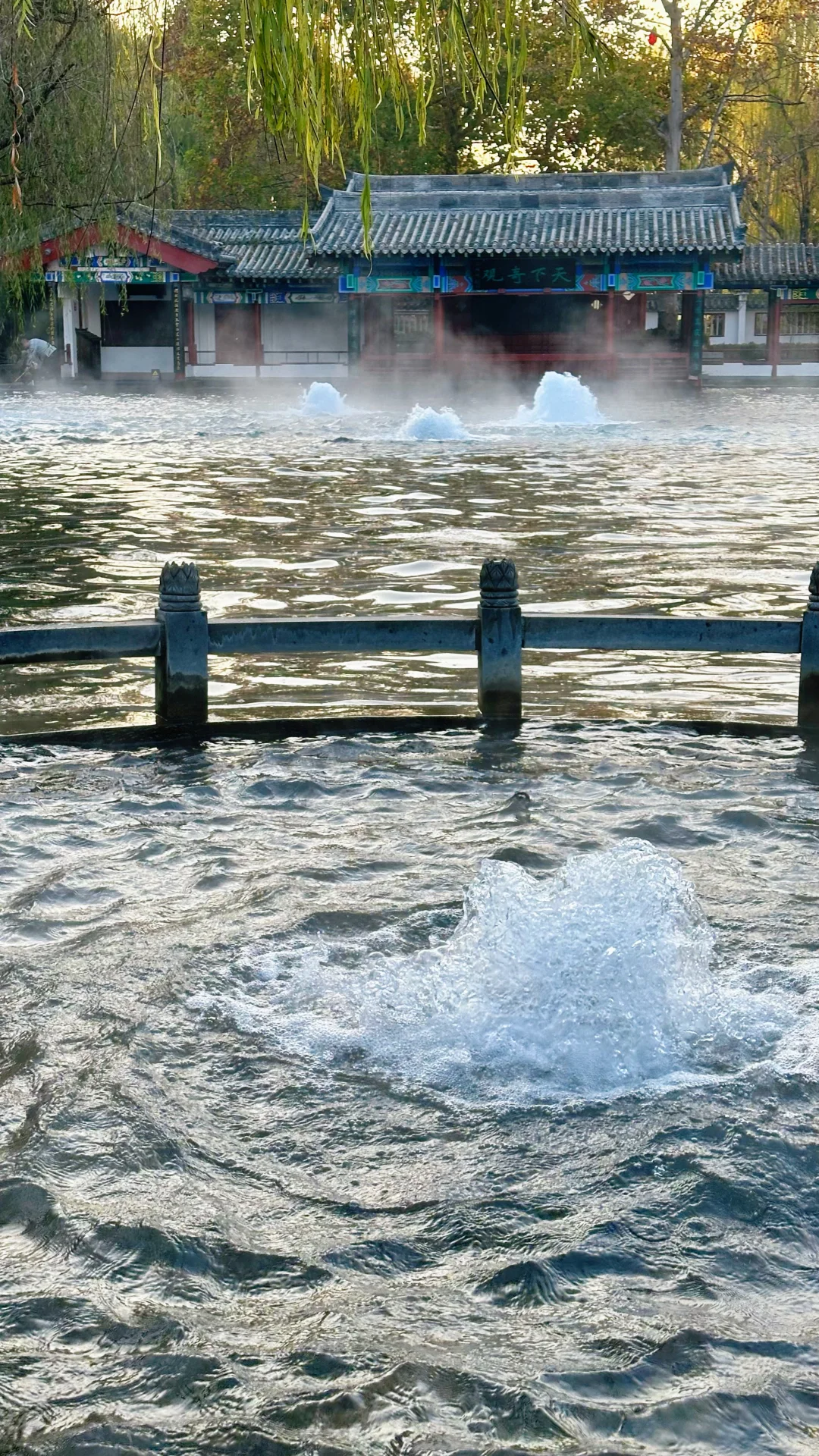 Live图，济南冬日泉水已开启“沸腾”模式❗️