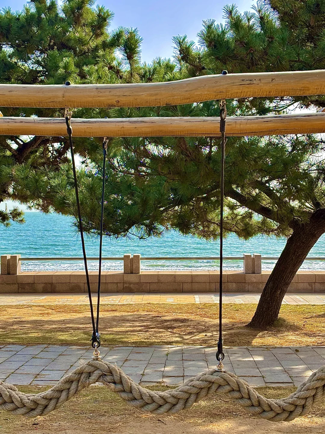 青岛最好的地方都是免费的。。。。🌊