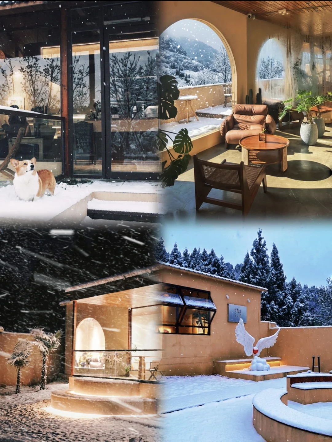 全网都在问：济南初雪去哪看？答案我放这了！