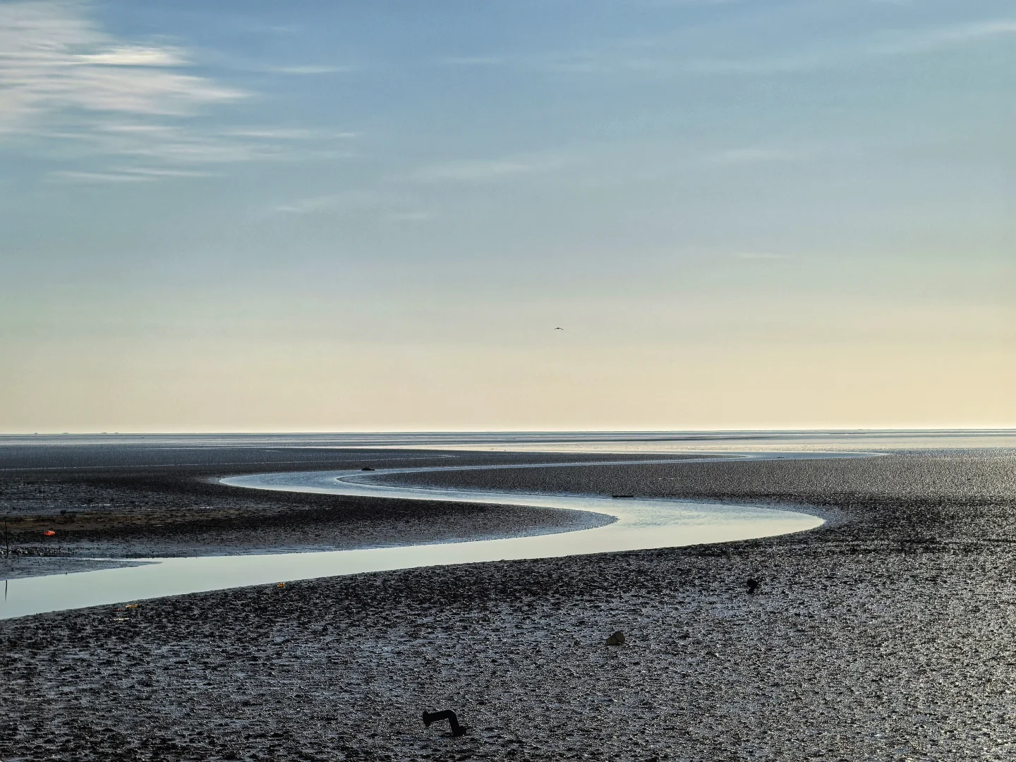 济南出发大美东营仿佛走进国家地理杂志封面