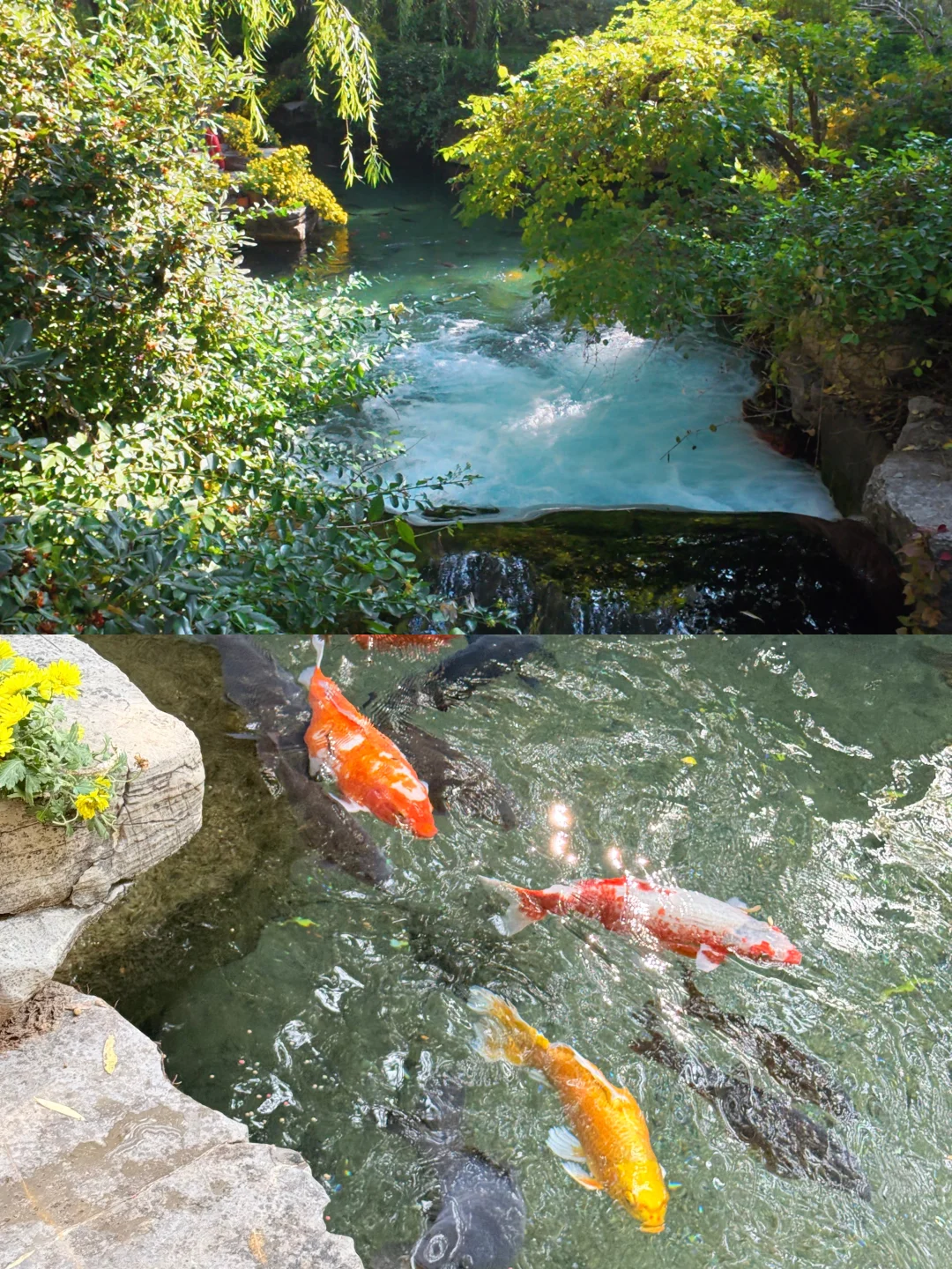 济南两日怎么玩👣👣
