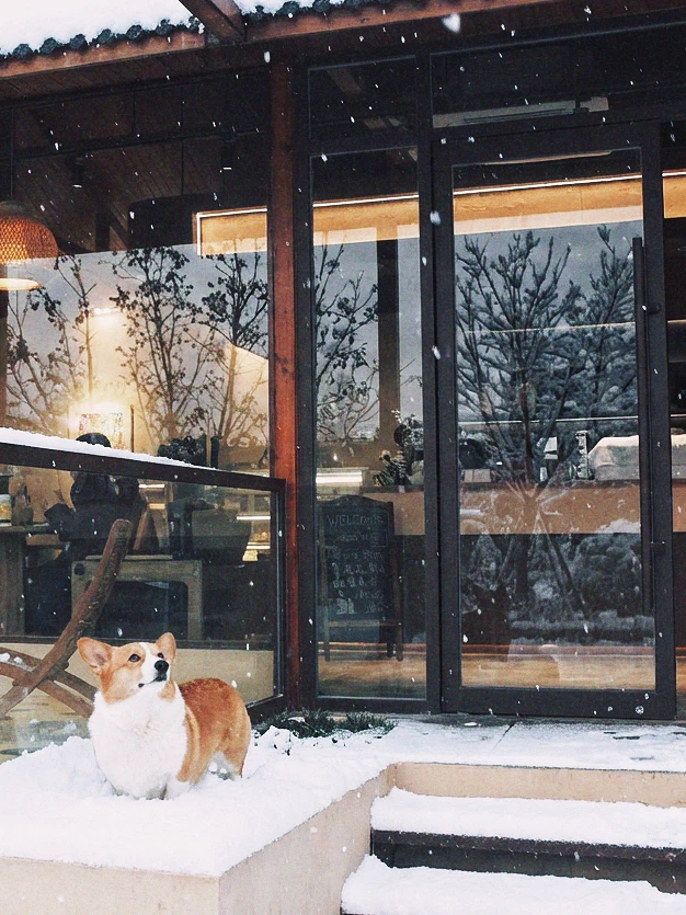 全网都在问：济南初雪去哪看？答案我放这了！