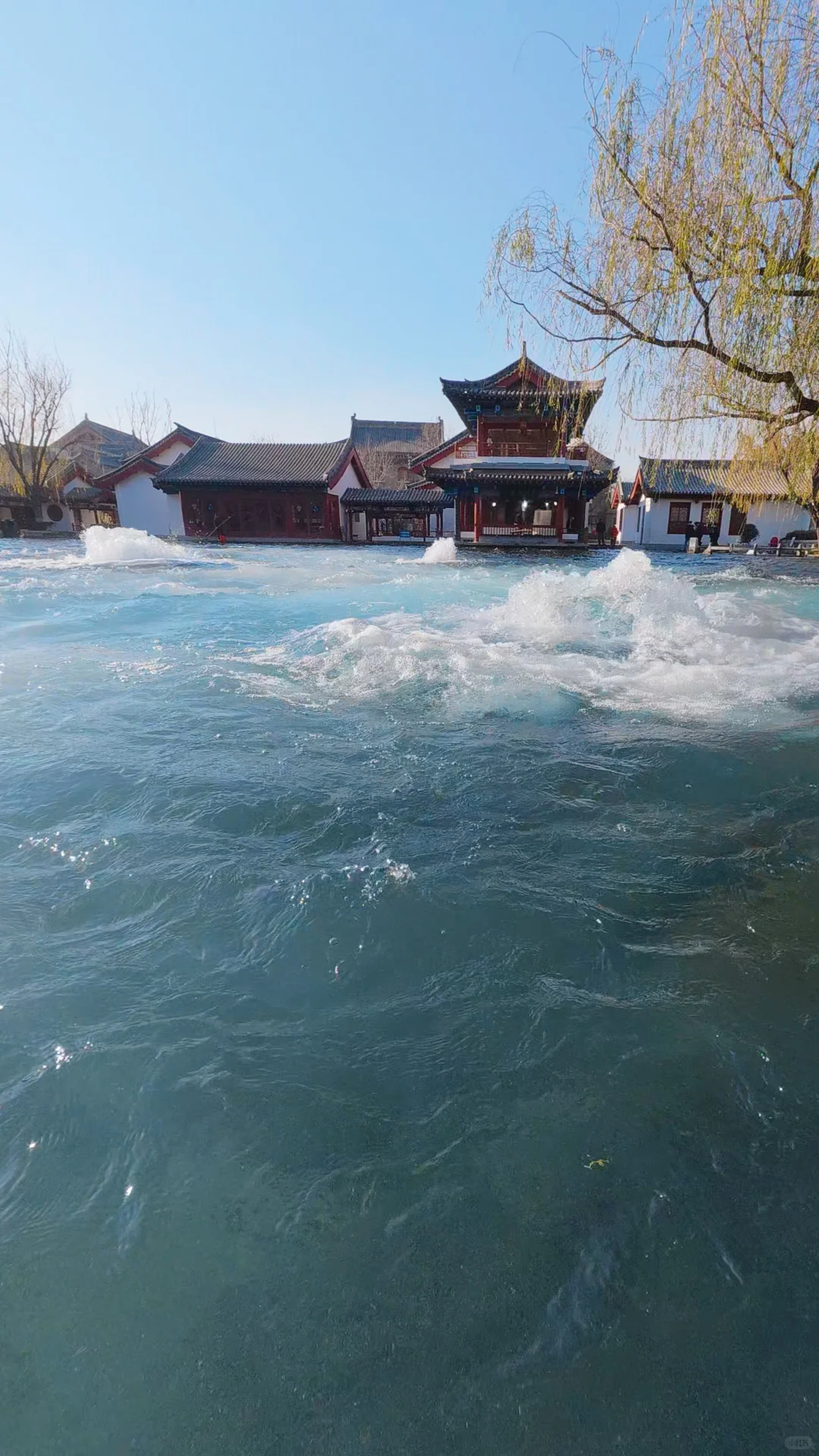 Live图才懂的震撼｜济南的泉水太澎湃了❗️