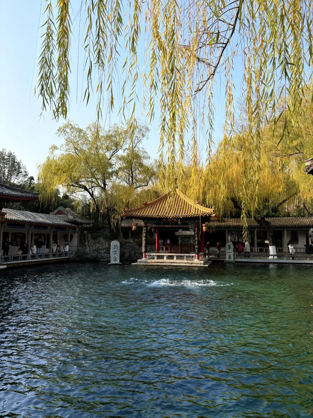 12.09 趵突泉🔟分美丽🌹